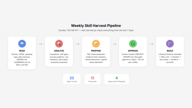 How I Made My Agent Discover and Create New Agent Skills